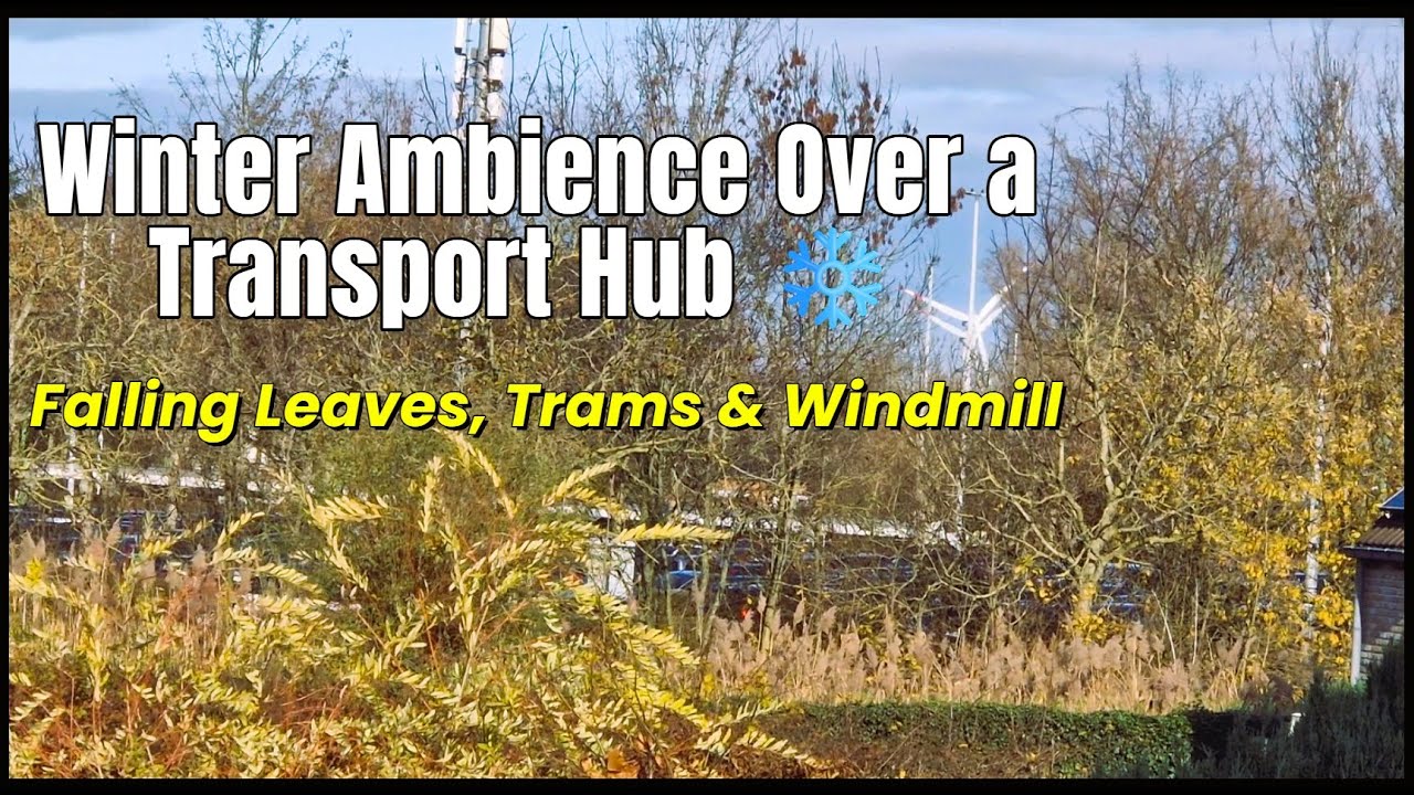 Winter Ambience Over a Transport Hub ❄️ | Falling Leaves, #Trams & #Windmill #asmr #winterambience