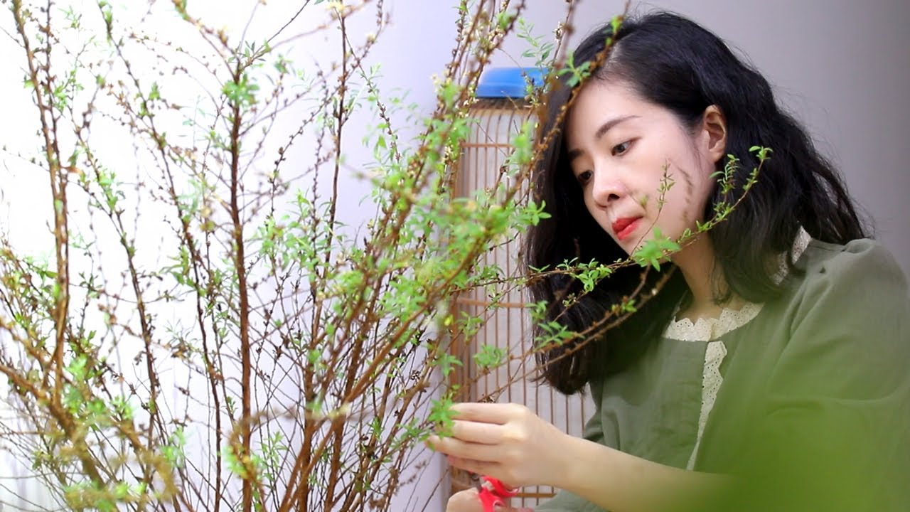 take care of flowers Snow rose - Keeping Her Flowers Fresh