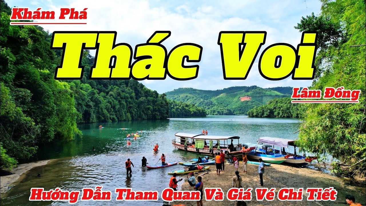 Khám Phá Thác Voi Lâm Đồng 2025 | Hướng Dẫn Đi Thuyền Tham Quan Và Giá Vé Chi Tiết