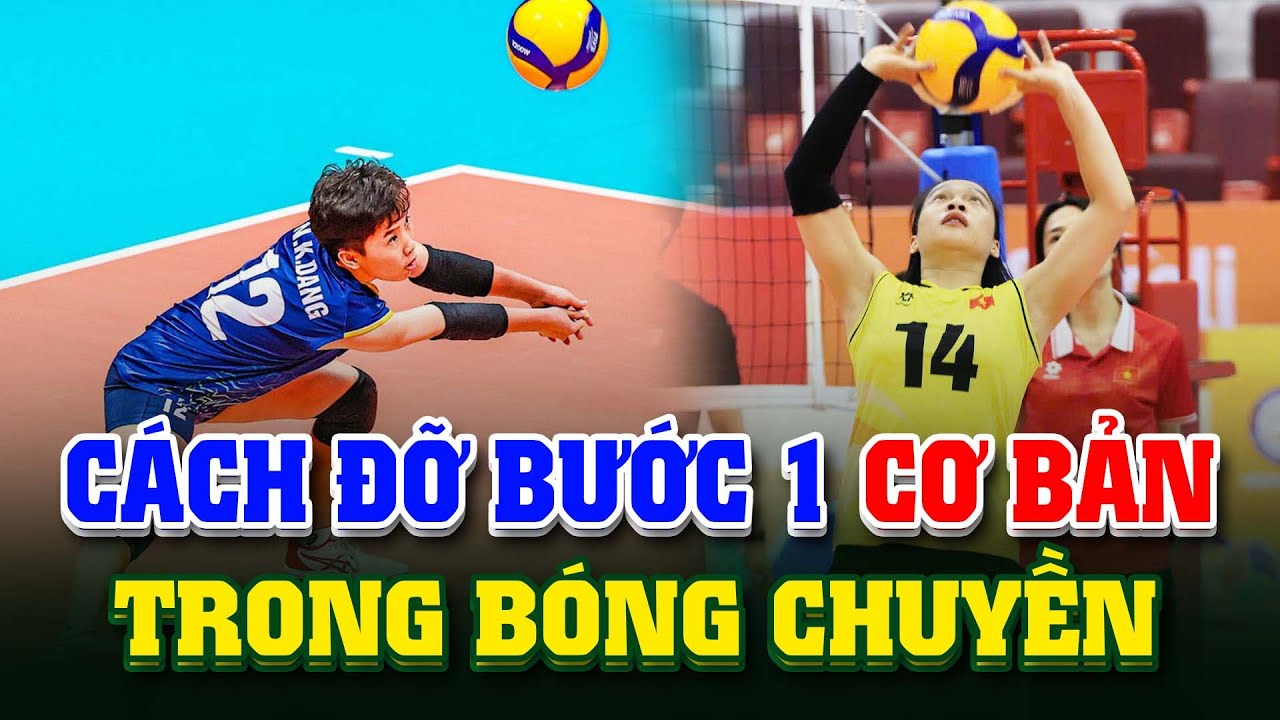 Cách đỡ bước 1 cơ bản trong bóng chuyền dành cho người mới chơi có thể bạn chưa biết