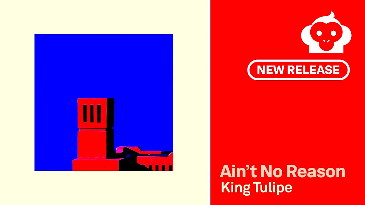 Ain't No Reason - King Tulipe