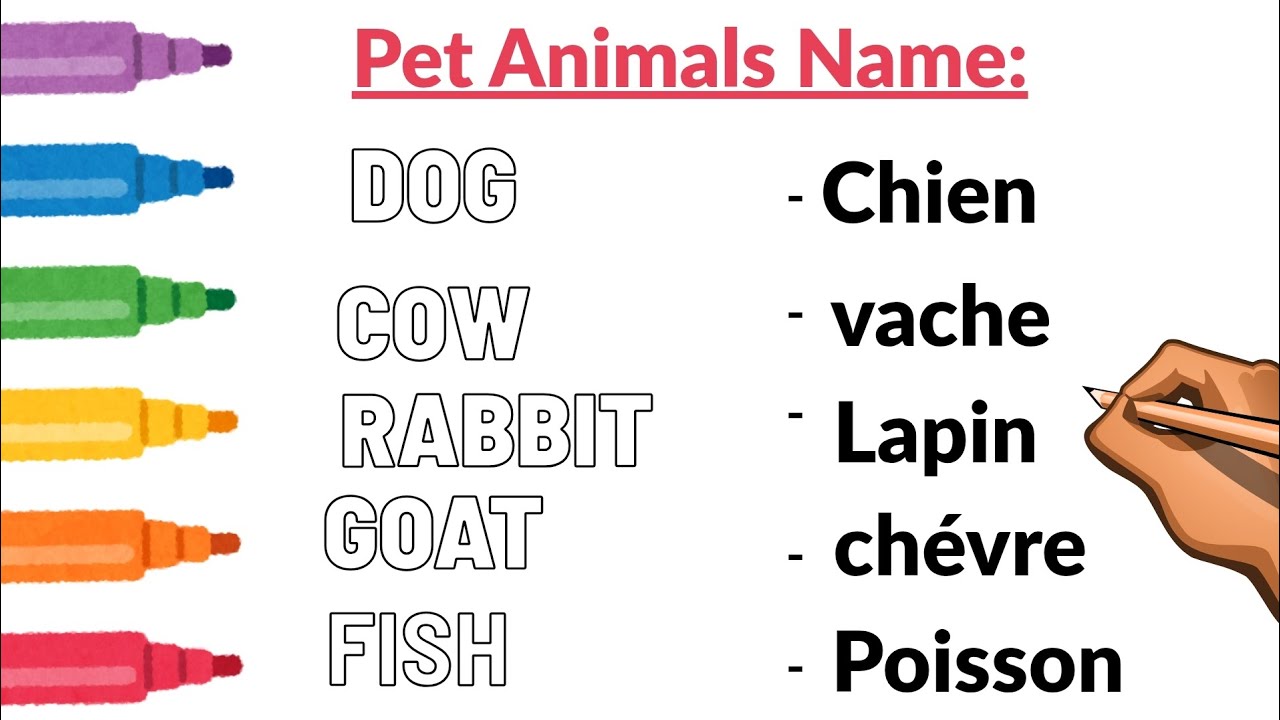 Pet animals name #apprendrelefrancais #english #apprendreenligne #languesétrangères #langues 