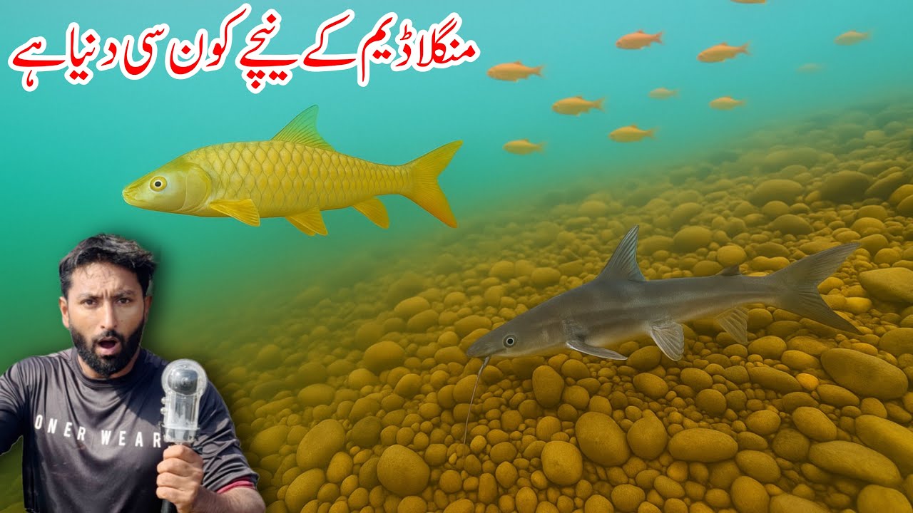 Mangla Dam Kay Nichy Kiya Hai | First Time inside Mangla Dam 😳