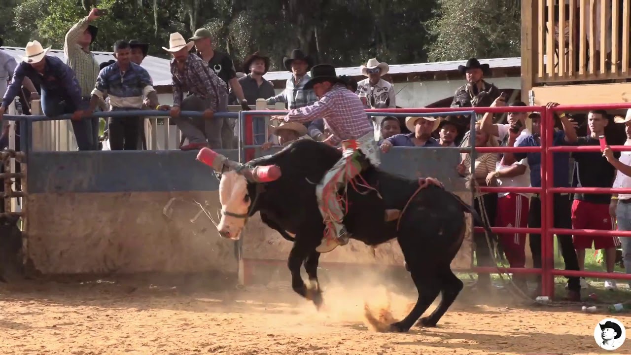 CORRIDO DEL TORO RAYITO DE RANCHO DOMINGUEZ