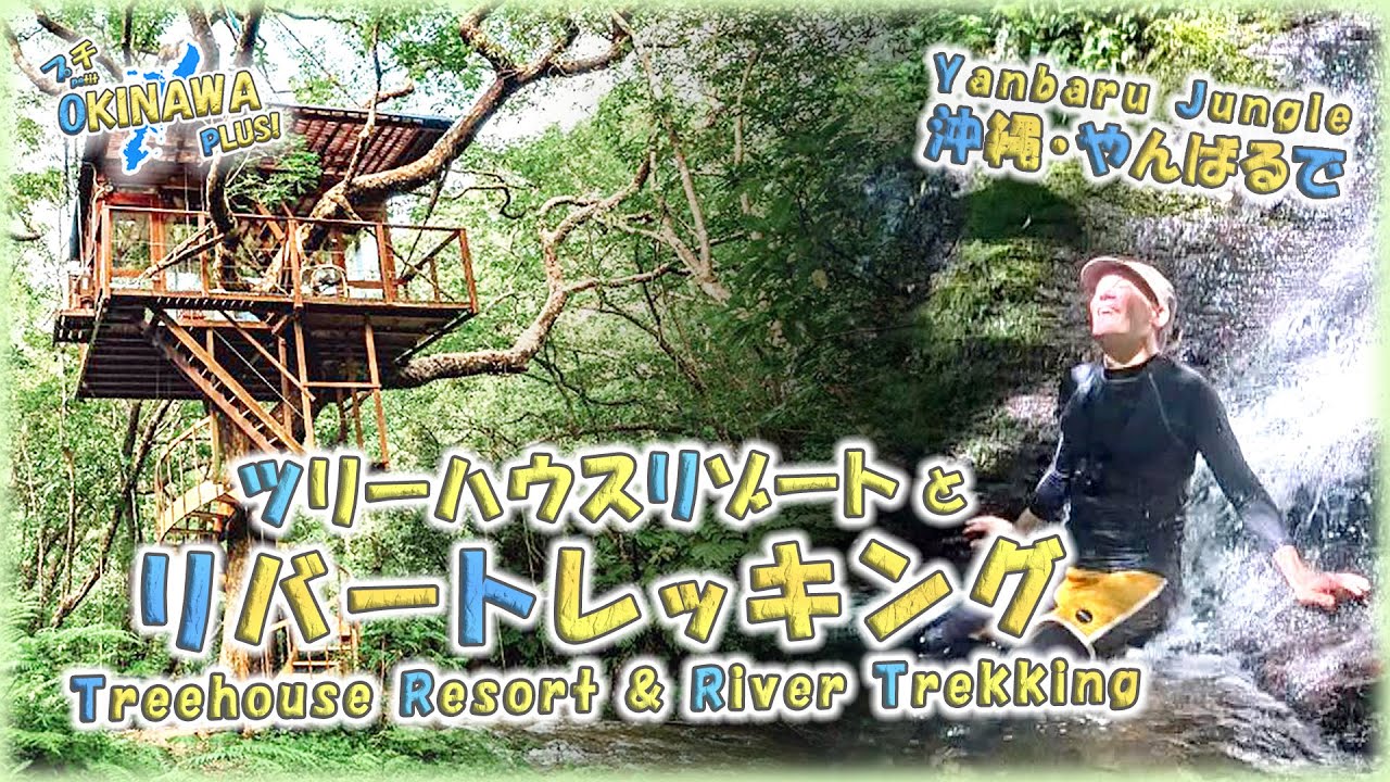【沖縄・やんばるの森】🌳ツリーハウスリゾートとリバートレッキング🏞️（Treeful Treehouse）【Petit OKINAWA PLUS!】【🇯🇵字幕👂】