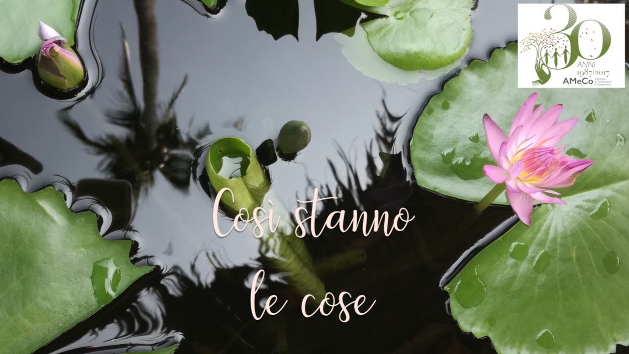 Così stanno le cose - Intensivo di Dharma condotto da Neva Papachristou l'11/05 (seconda parte)