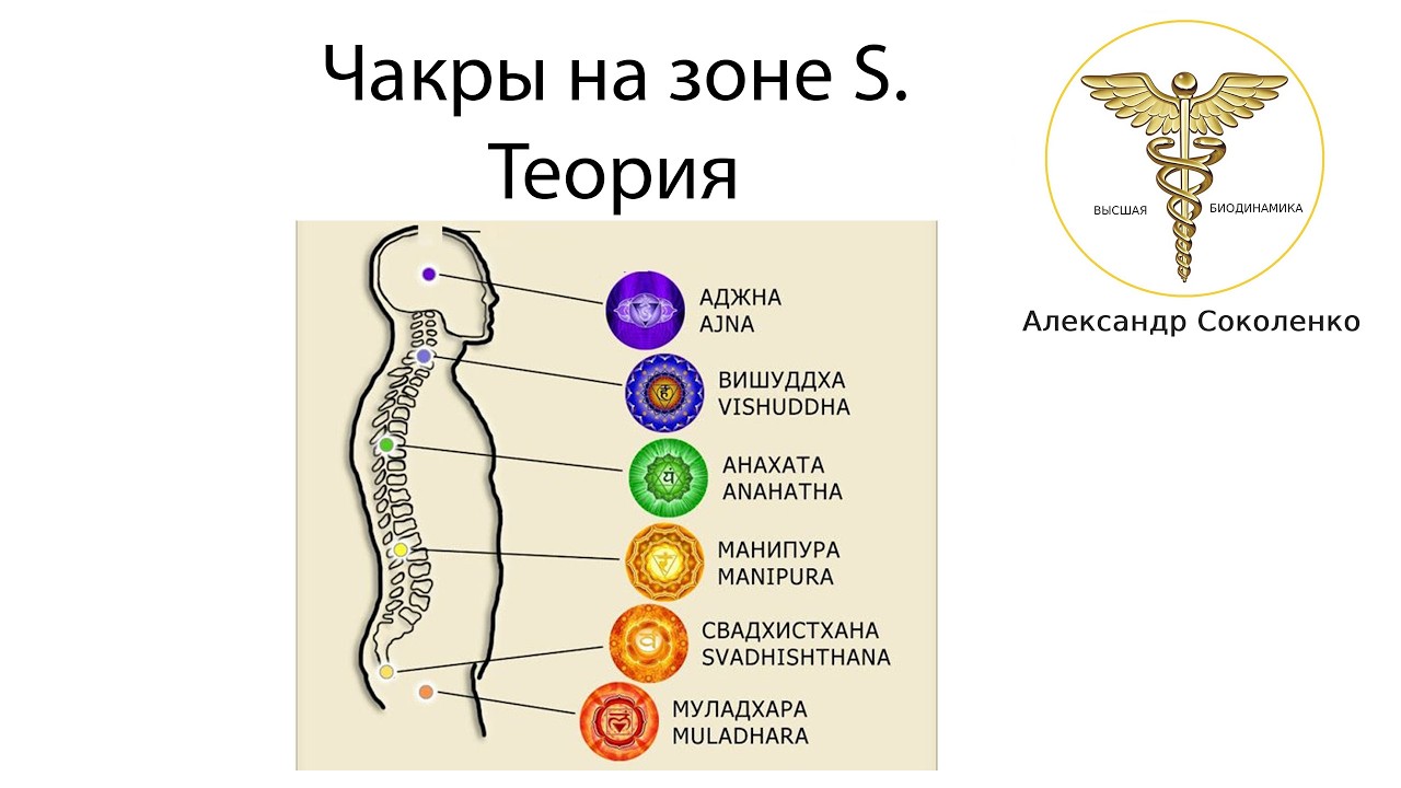 Чакры И Как Их Можно Увидеть На Зоне S