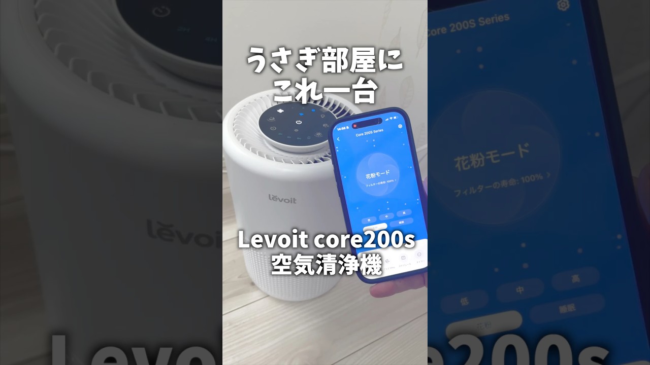 【Levoit】ウサギ部屋にはとりあえずこれ入れとけ。 #rabbit #うさぎのいる暮らし #うさぎ #ウサギ #levoit