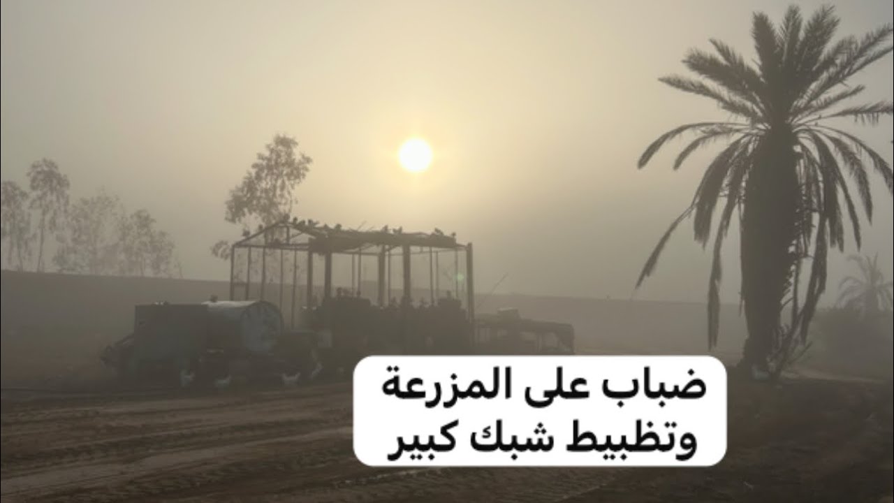 ضباب على المزرعة والشبك الجديد لشي جديد😎