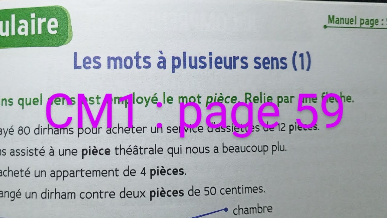 CM1 : Vocabulaire : Les mots à plusieurs sens (1) page 59 cahier d' activités Le trésor des mots
