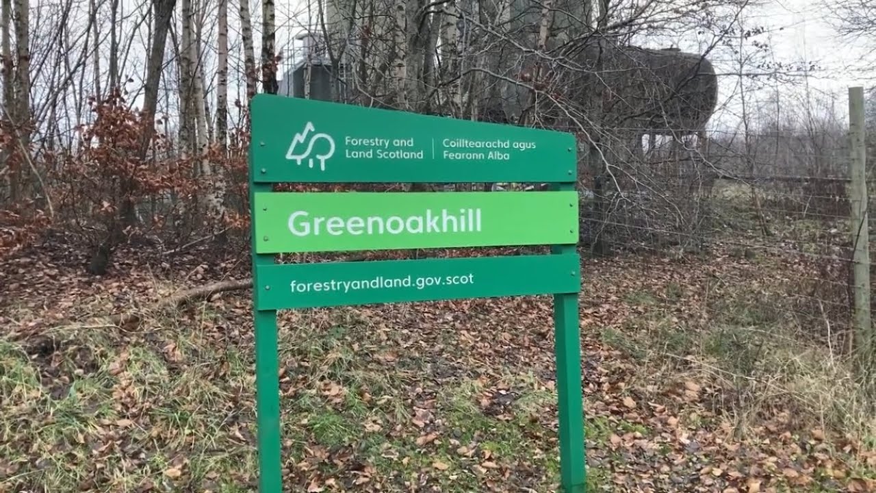 Going Back to Nature at Greenoakhill Woods