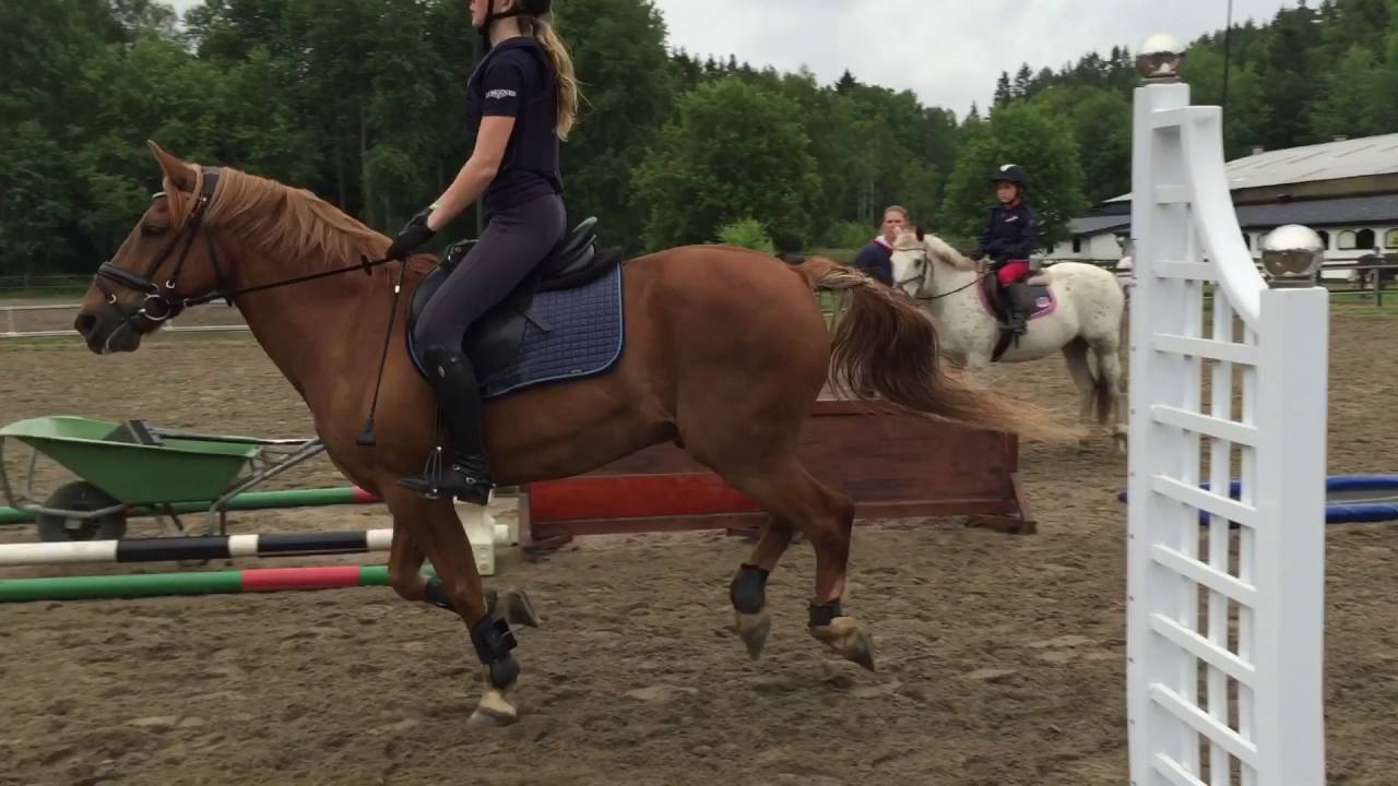 Ranchens ridläger v.24/25 Putte Träning + Uppvisning