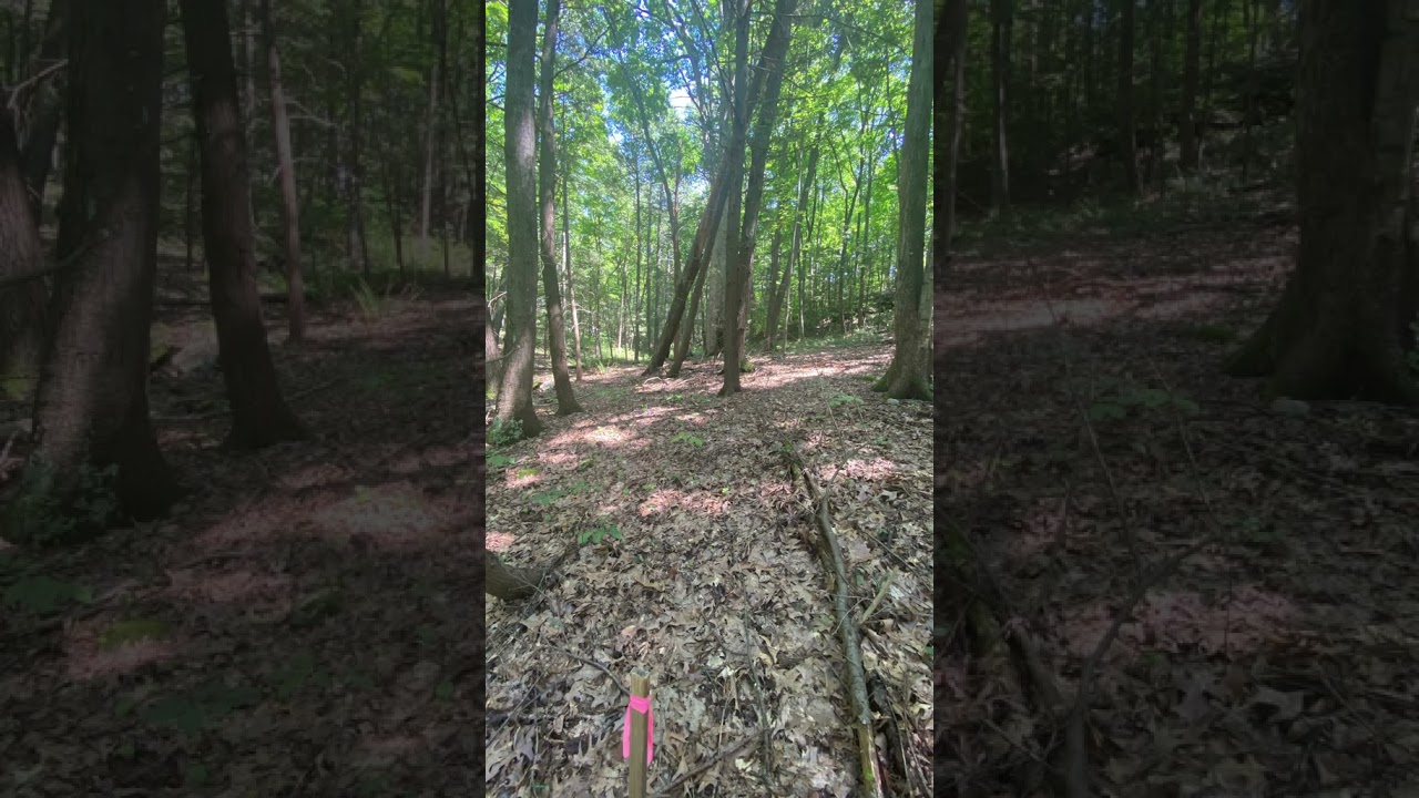 Site Visit: Arrowhead Ridge