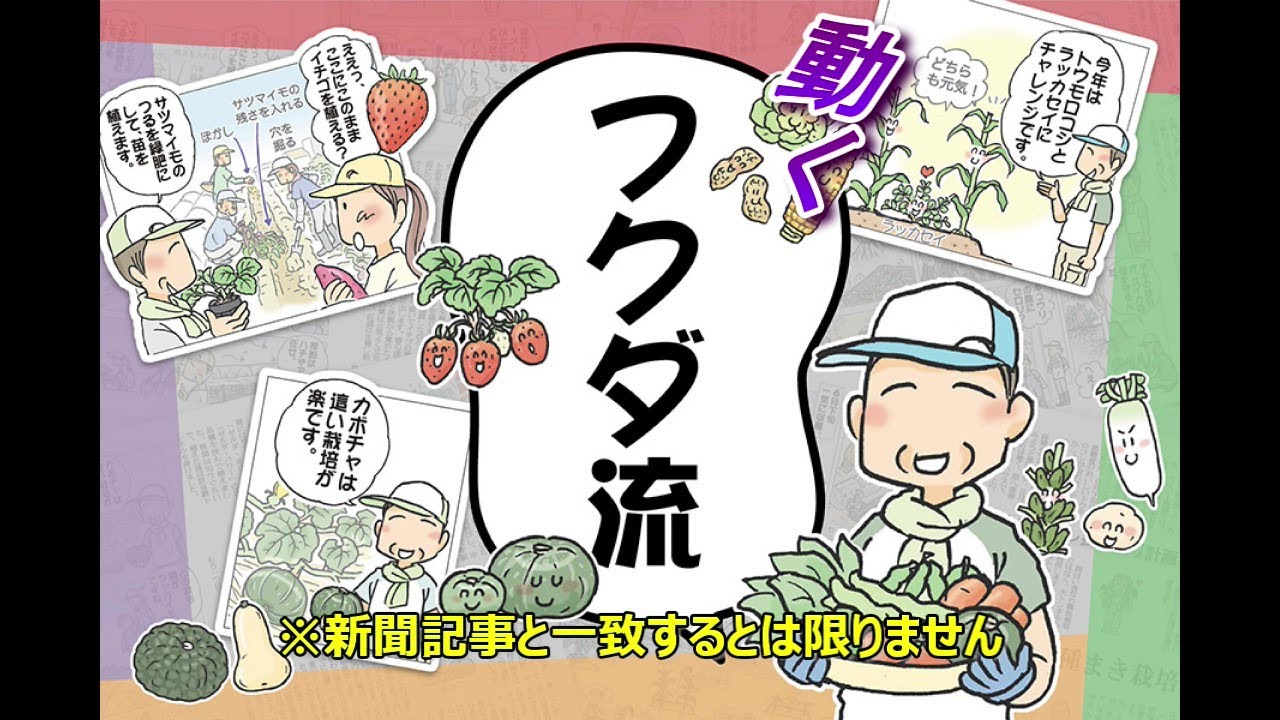 【家庭菜園】オクラからダイコンへのリレー栽培　おまかせ菜園フクダ流