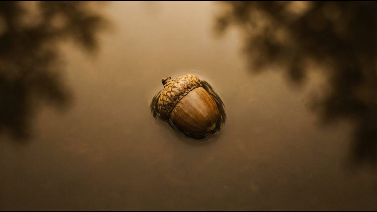 Awareness Alone Is Not Enough — A Spoken Word Reflection on Integration