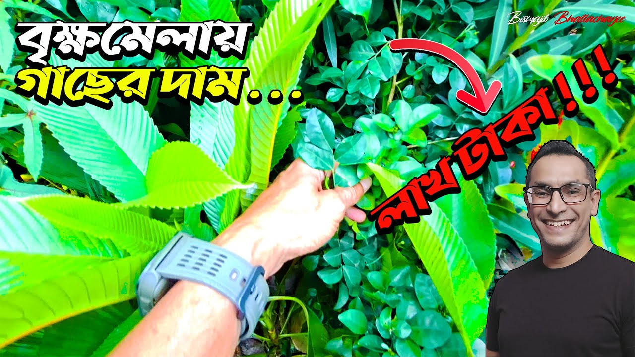 জমে উঠেছে চট্টগ্রাম বৃক্ষমেলা || চট্টগ্রাম বৃক্ষমেলা ২০২৫