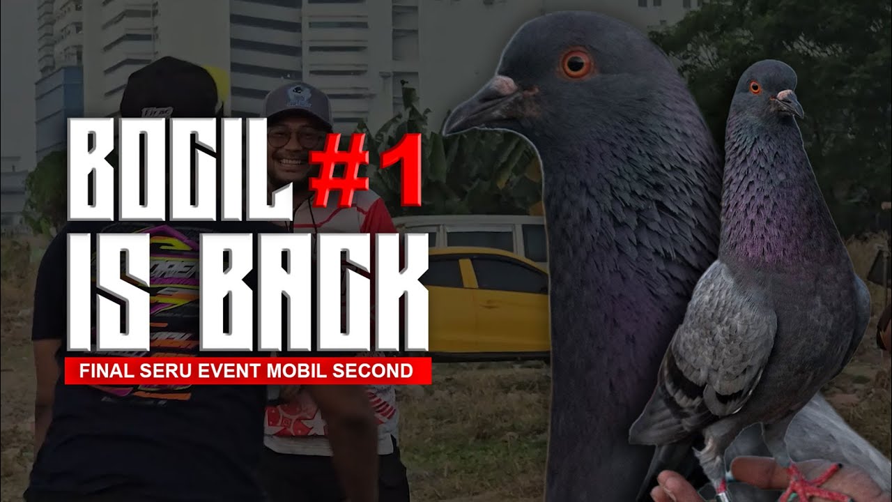 MERPATI BOCIL RAIH JUARA 1 DI EVENT MOBIL SECOND ANNIVERSARY LAPAK ALEXIS DAMORENO FEAT KEL