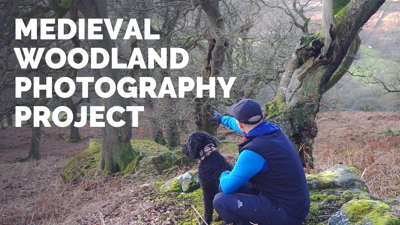 Step Back in Time - Medieval Woodland Photography Project