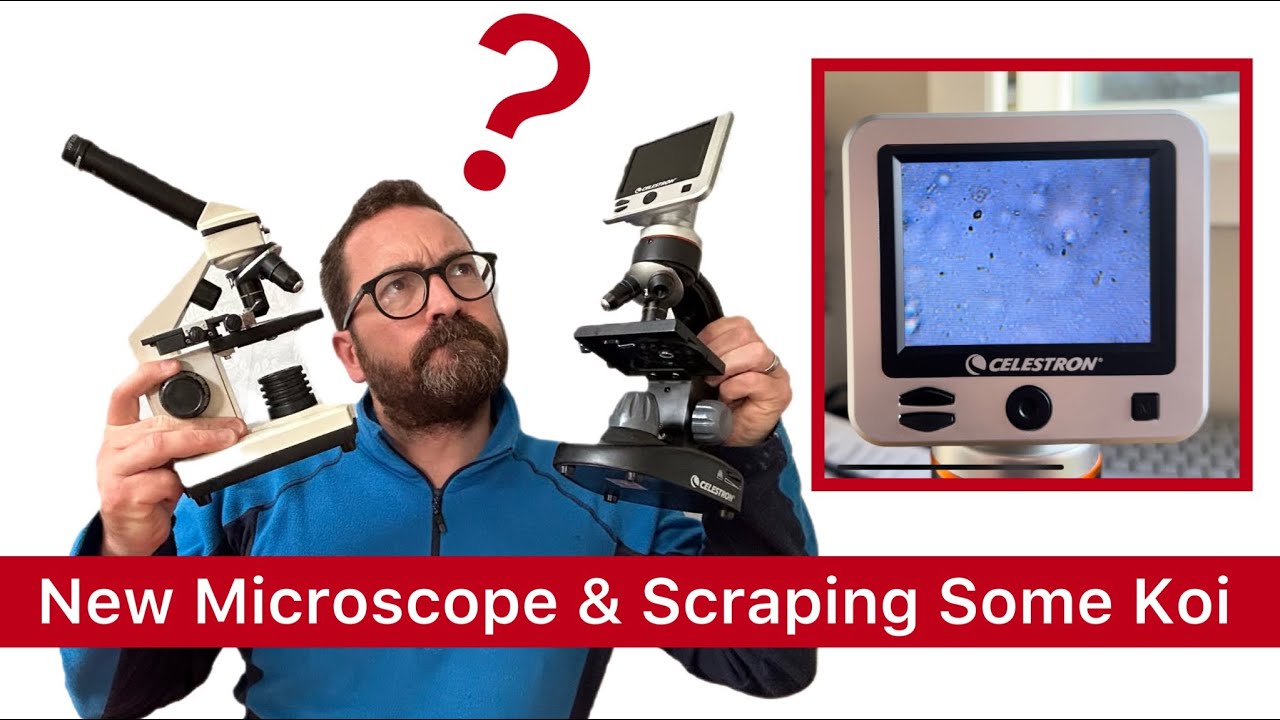 New Celestron lcd Microscope & scraping the koi for parasites 🦠 👌🏼😊