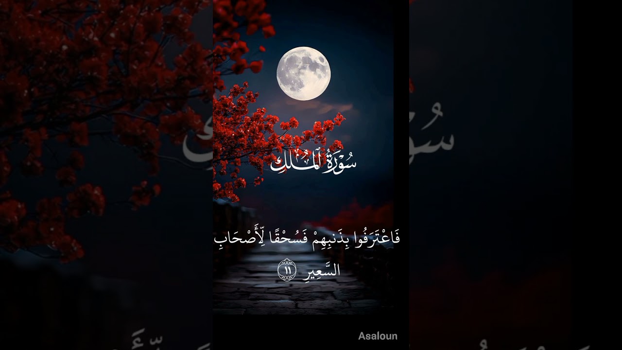 Surah Al Mulk Ayat 9-12 ❤️❤️ 