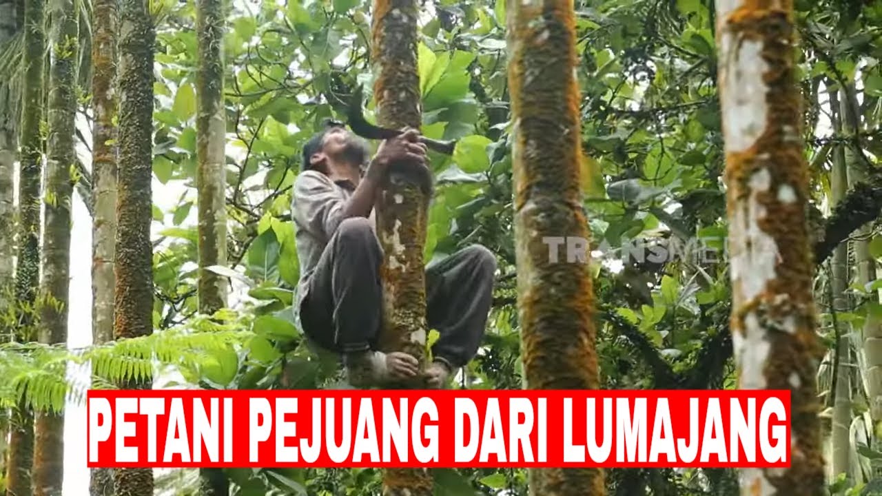 PETANI PEJUANG DARI LUMAJANG | INDONESIAKU (23/09/25)