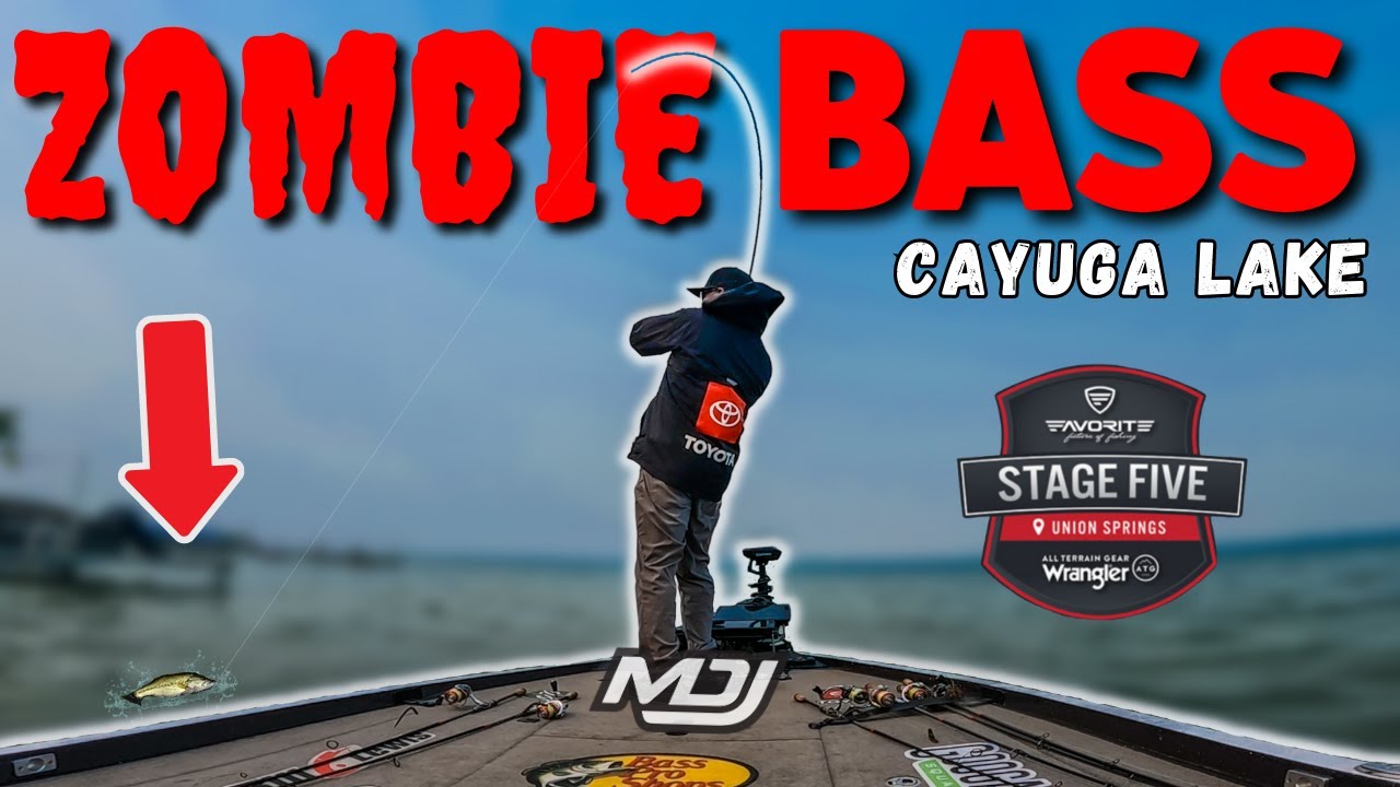 My BIGGEST BAG Of The YEAR - Cayuga Qualifying Round (Stage 5)