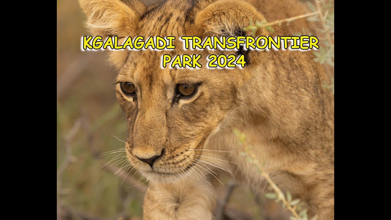 Кгалагади 2024 Часть 1
