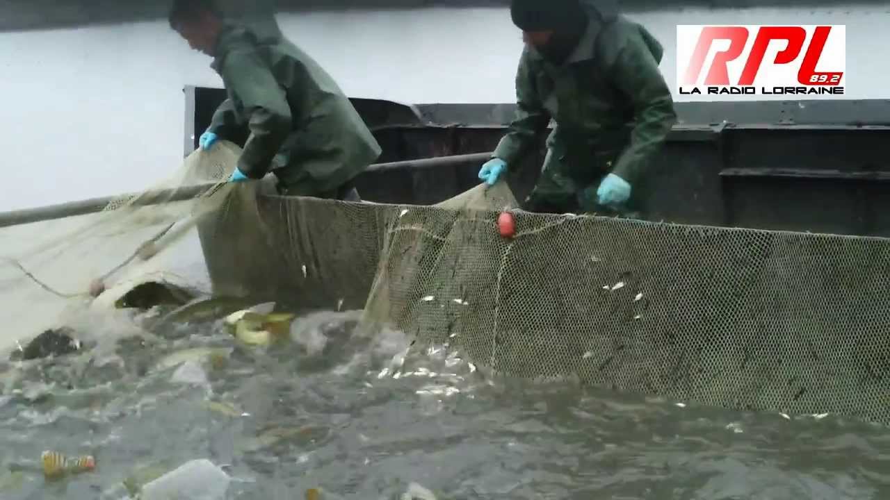 La Grande Pêche du Domaine de Lindre 2013