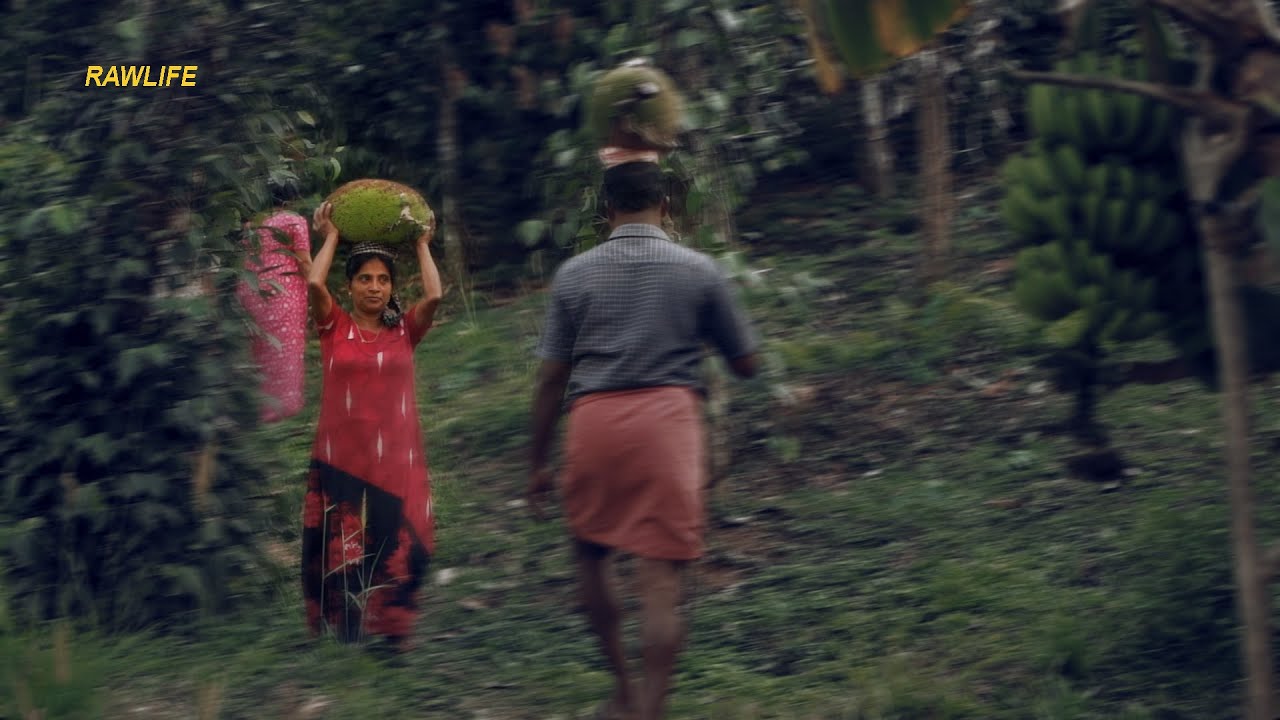 Rural life in india 👌🐘🐏 | Daily life in Kerala forest village | Idukki village 4k