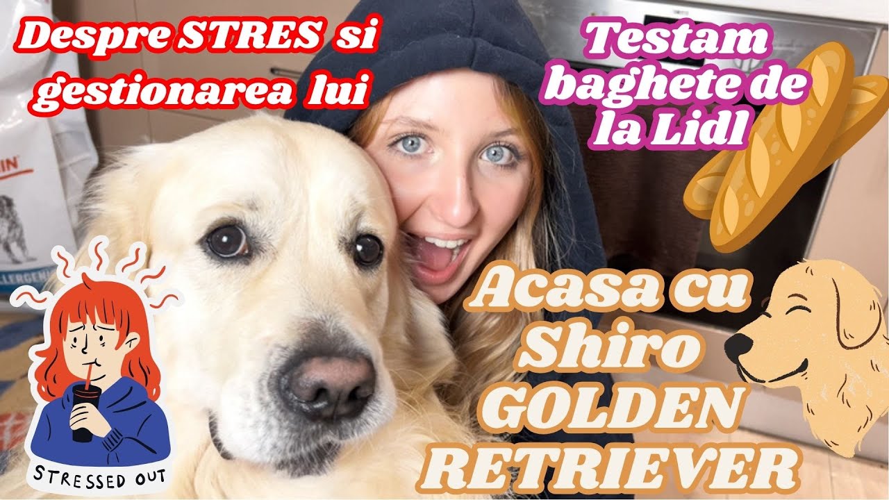 Daily Vlog | Pâinici la cuptor, acasa cu Shiro, gânduri despre stres și gestionarea acestuia