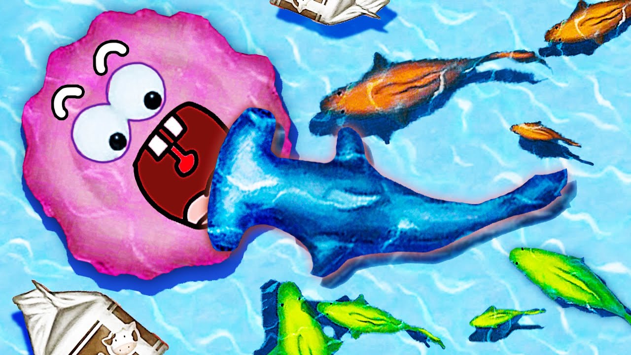 美味的細菌 錘頭鯊要吃我，我轉頭就把它的頭吃掉了！小熙解說