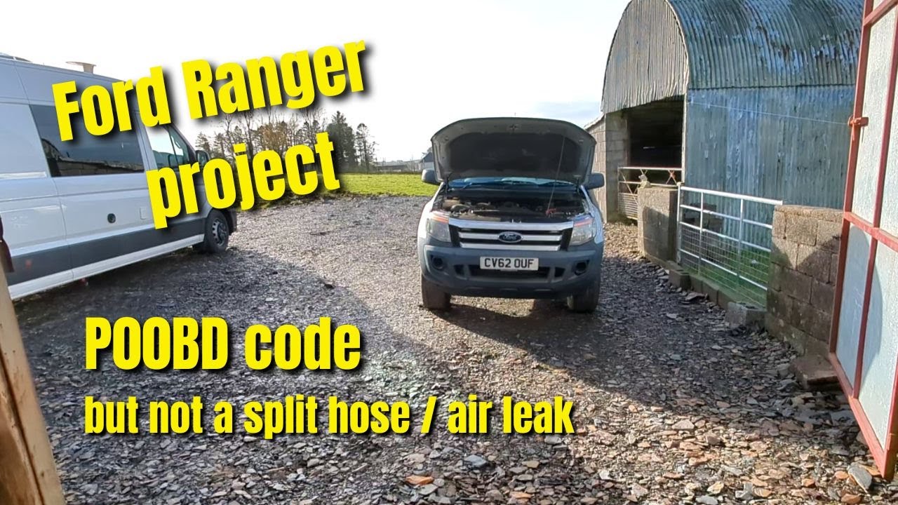 2012 t6 Ford Ranger P00BD fault code diagnosed using forscan but its not a split hose or air leak
