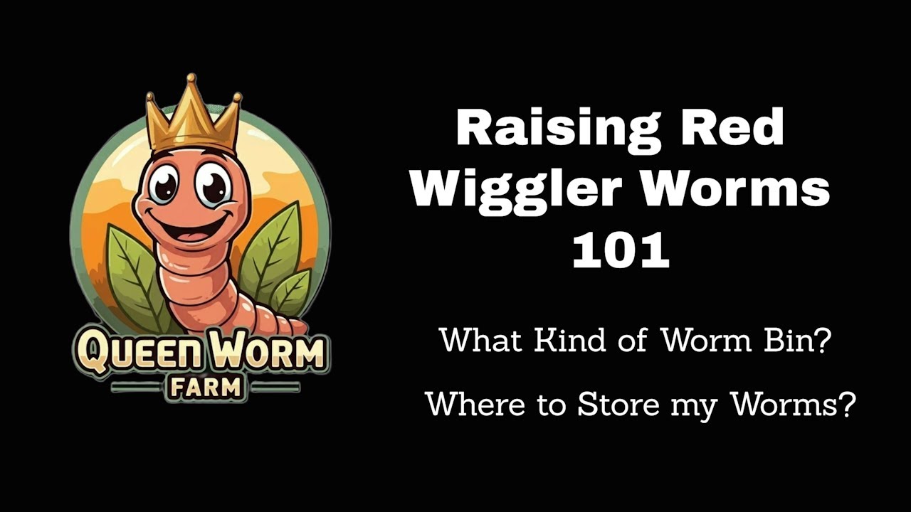 Raising Red Wiggler Worms 101 - What Kind of Bin to Use & Where to Store The Worms?