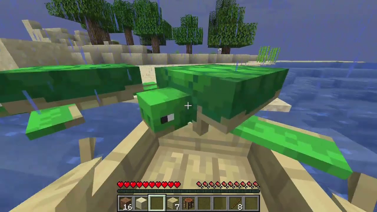 minecraft seri 2. video