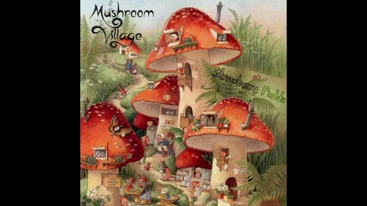 Mushroom Village - Strawberry Fields (2020)