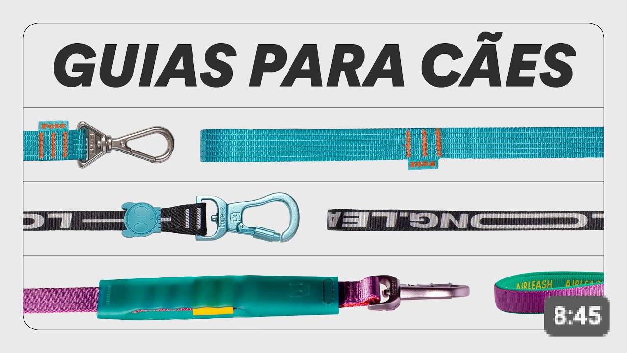 Qual a melhor guia para cachorro? | REVIEW completo e dicas