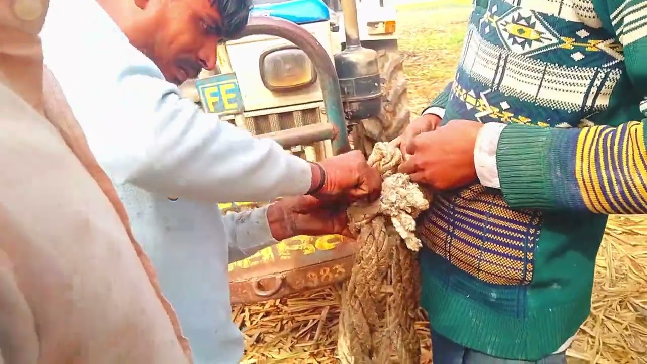 Eicher 380 Swaraj 735 mahindra 485 tochan #youtubevideo #dallyblog #villaglife #ytshorts #farmequip#