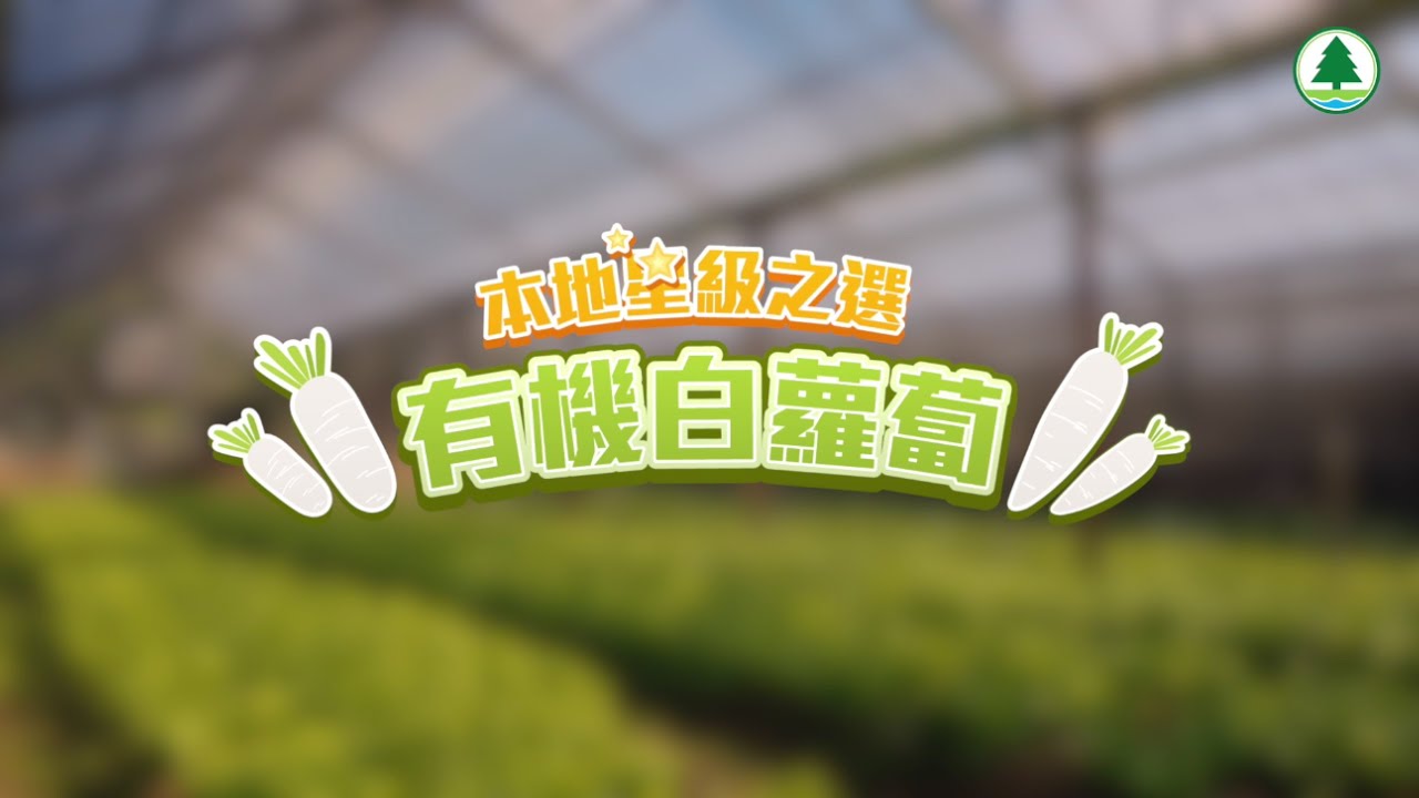 #支持本地農業【✨本地星級之選—有機白蘿蔔】