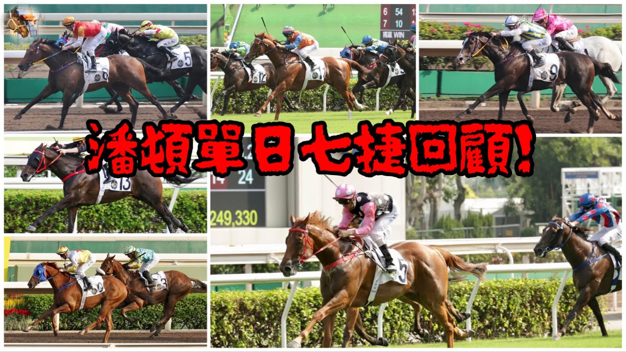 潘頓單日七勝回顧！