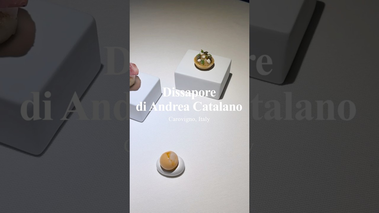 Dissapore di Andrea Catalano | Carovigno, Italy #umamiholic #shorts #food #foodie
