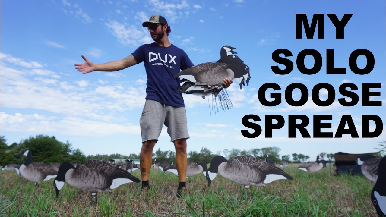 I SET 20 Dozen Decoys By MYSELF! How to Set Goose Decoy Spreads