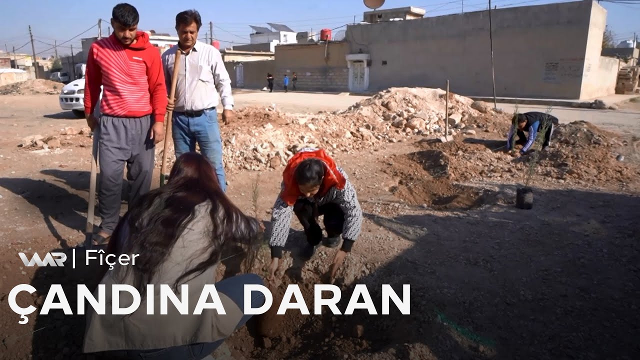 Fîçer - Çandina Daran | فیچەر- چاندنا داران