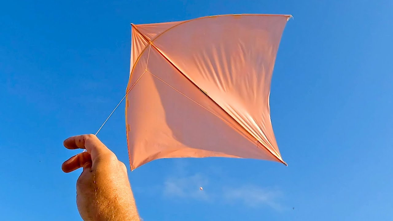 Retorno da Pipa do Barulho, Raia Veloster do Rafinha Quando está Voada é  a + Concorrida da Xepa