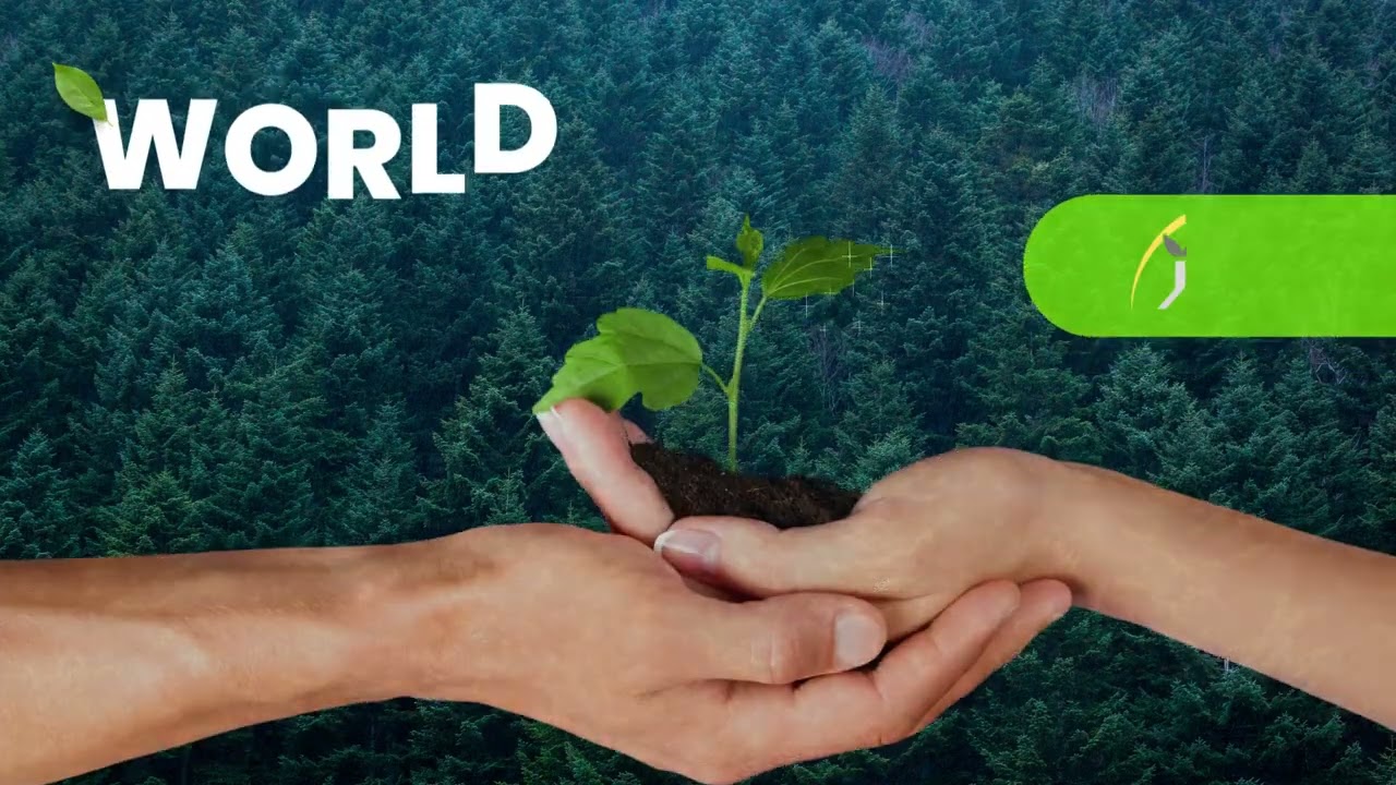 FUTURIAS SOLAR WEBPORTAL - DIGITAL MARKETING - INDUSTRIAL WHOLESALER MANUFACTURERS, DEALER
