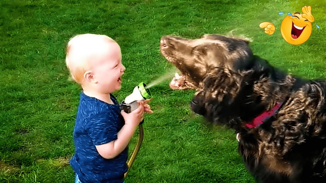 HILLARIOUS Baby Laughing With Pets | Funny Baby And Pets Moments