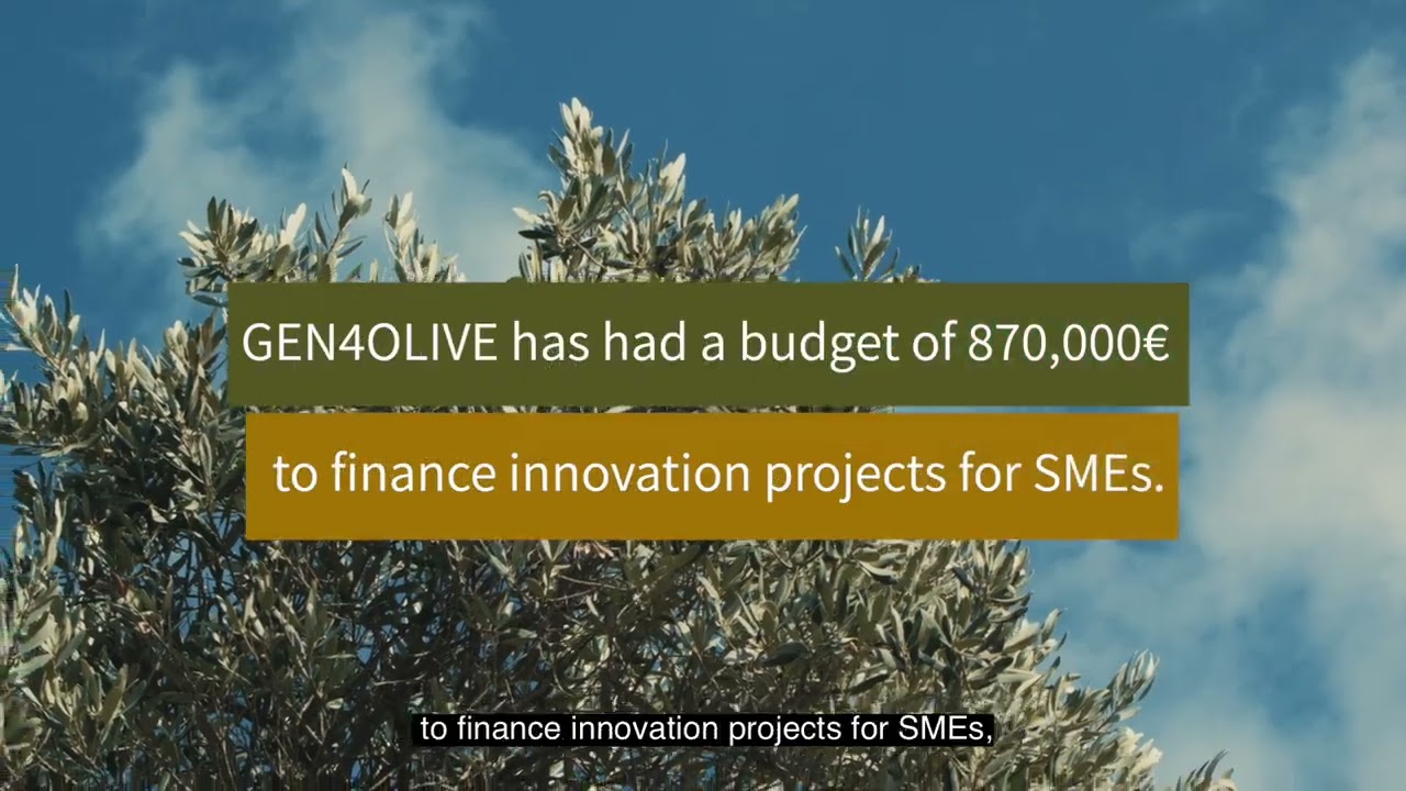 Empowering SMEs to innovate and transform olive farming