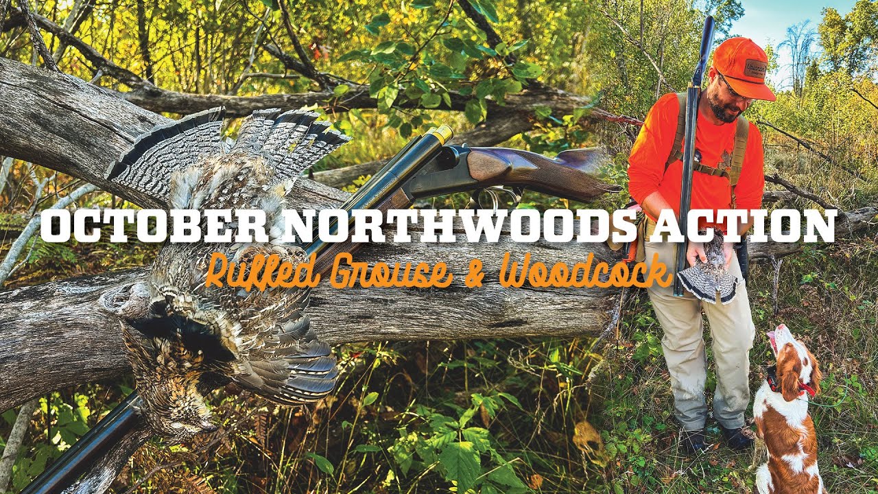 Сезон охоты на рябчиков в самом разгаре! Прохладная погода, клещи, укрытие и многое другое!