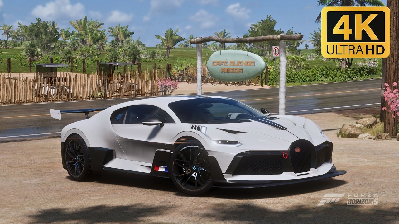 7999 CC : Bugatti Divo 2019 | Forza Horizon 5 Gameplay