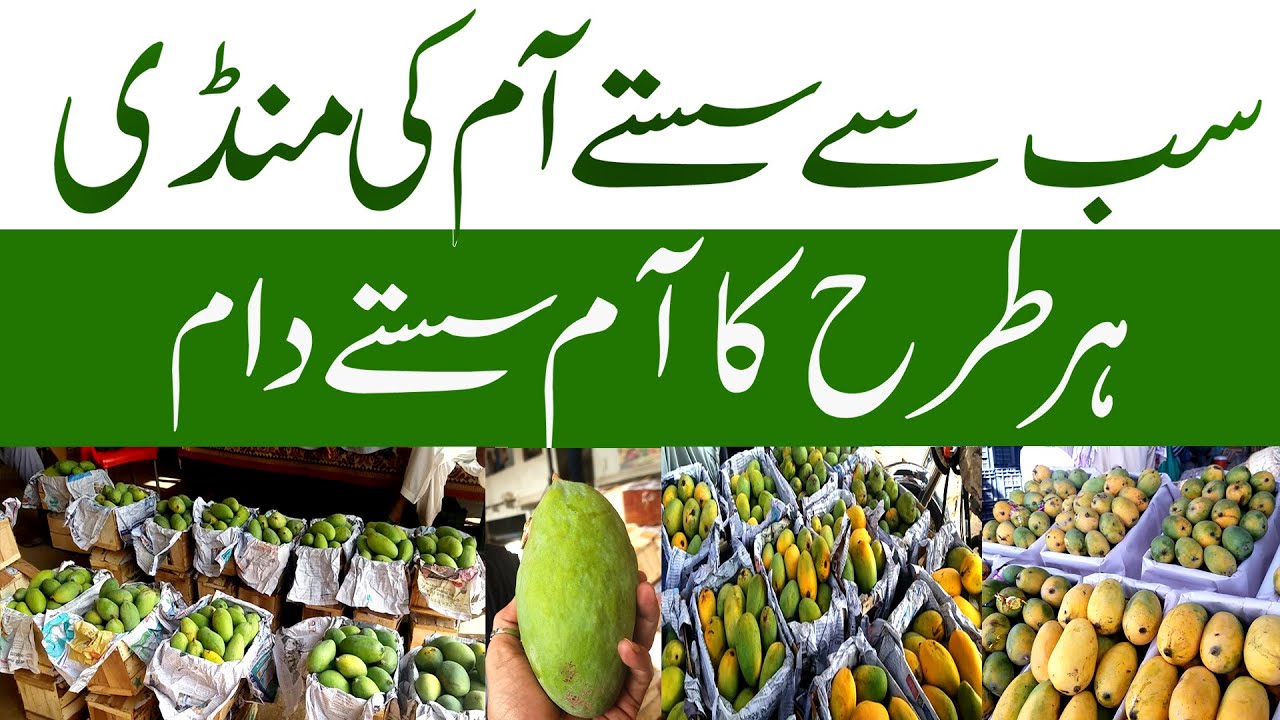 Mango Mandi 2023 | Karachi Fruit Mandi Mango Price