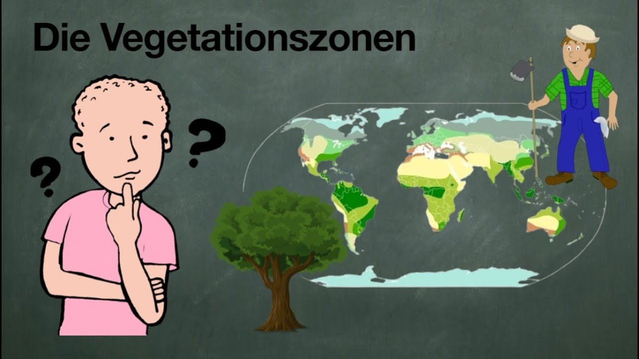 Die Vegetationszonen der Erde